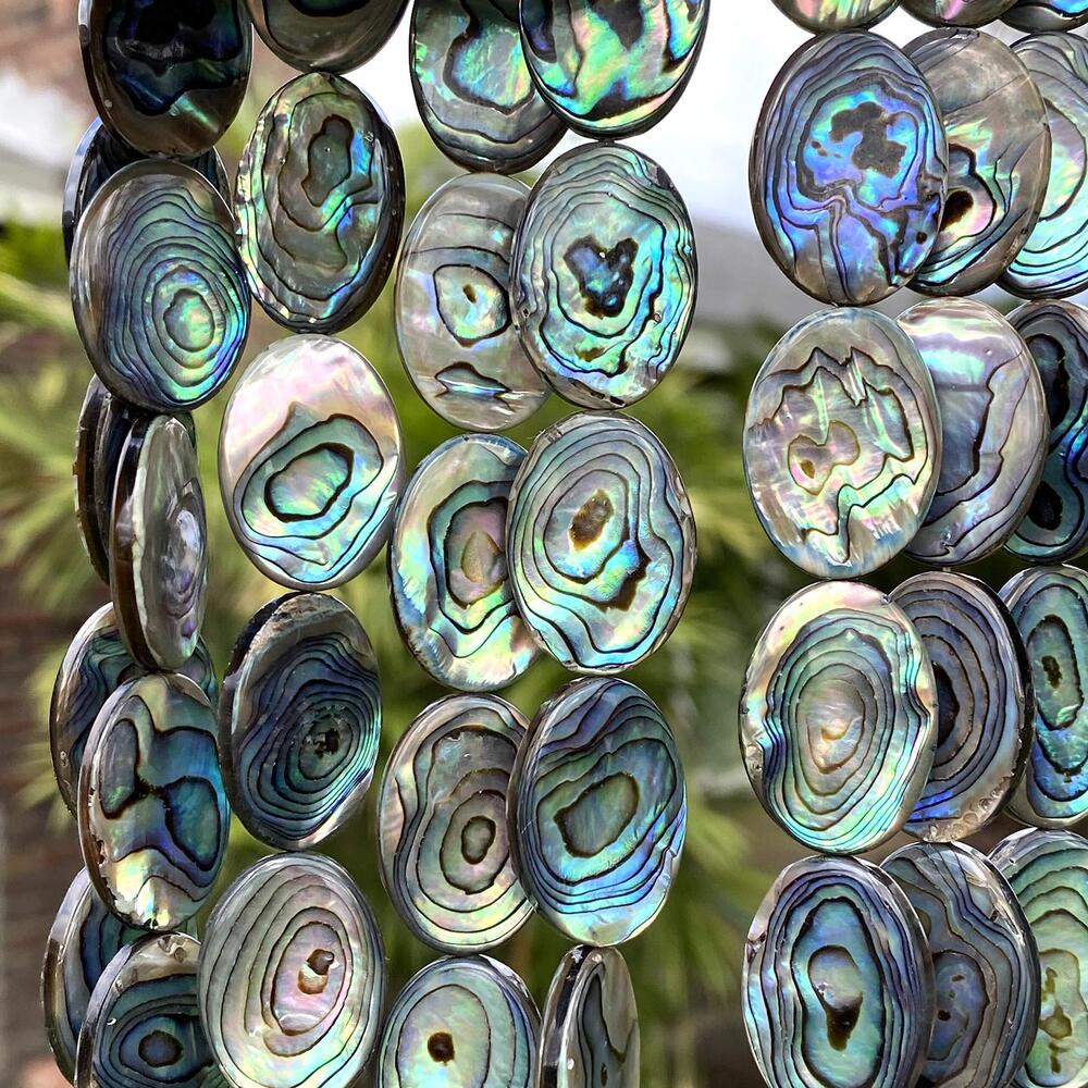 2481 ABCGEMS 22Pcs AAA Abalone Paua Shell Beads from Coastal New Zealand